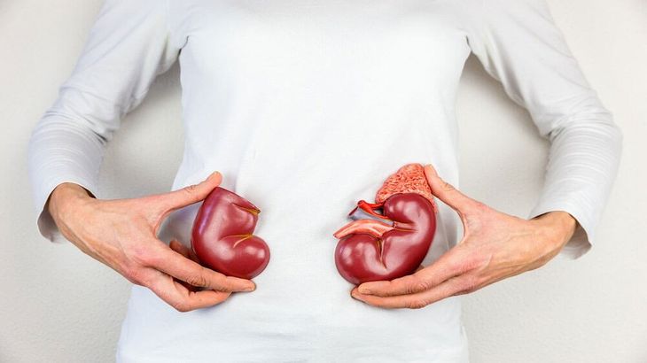 Kidney Transplant Cost In Mumbai Medmonks