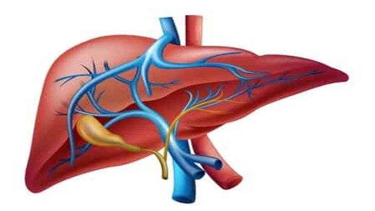 liver-transplant-cost-in-delhi