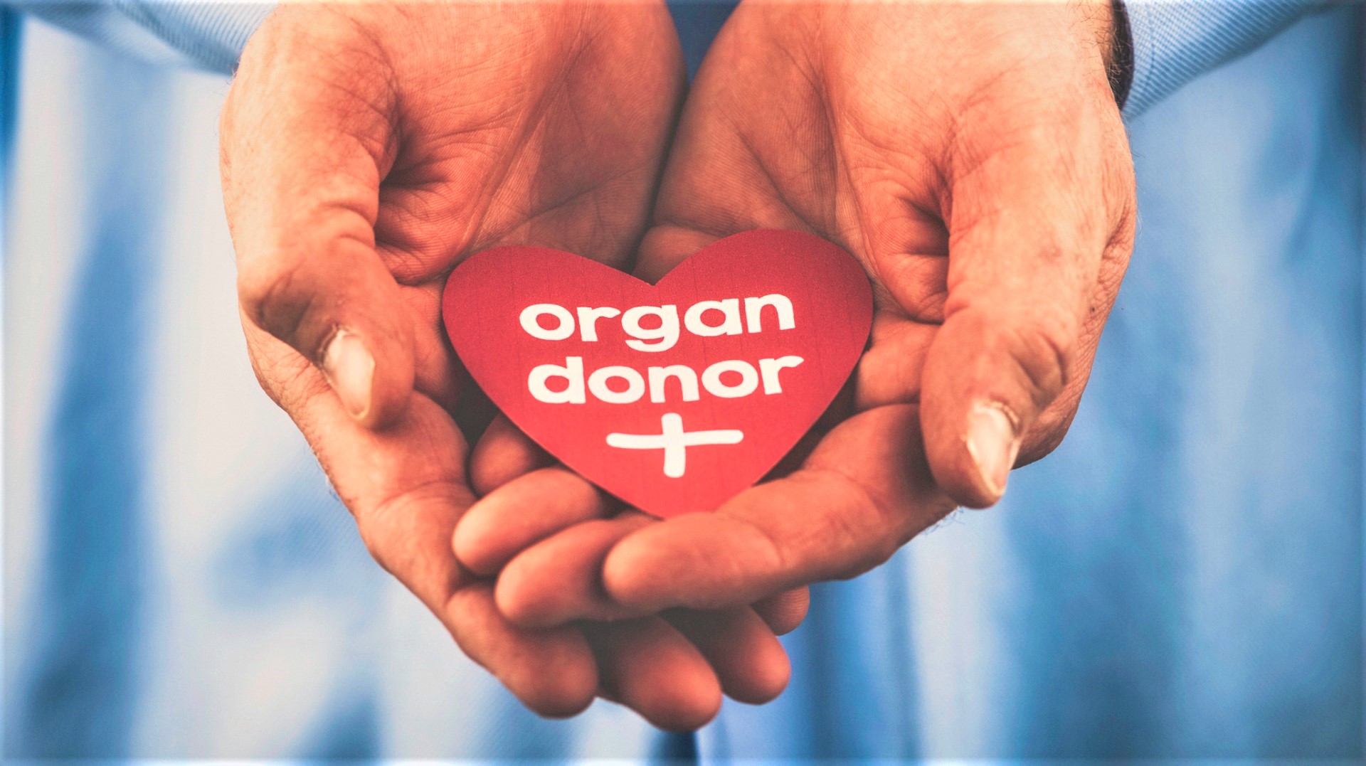 organ-donation-rules-regulations-in-india