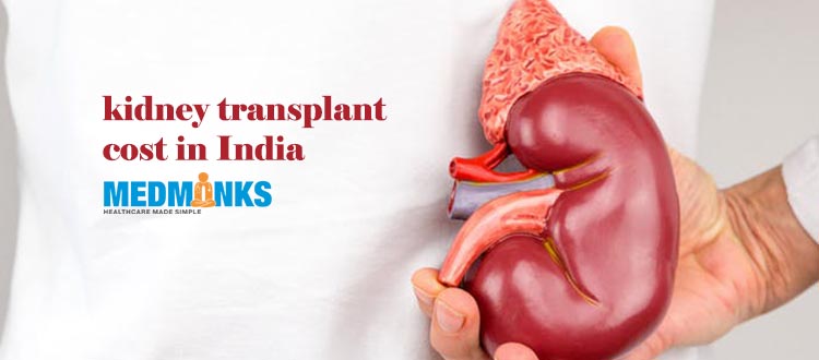 Kidney Transplant Cost In India Cost In Delhi Mumbai Bangalore